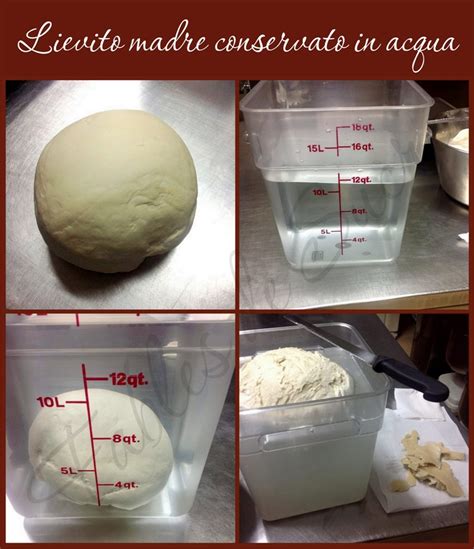 Conservazione del lievito