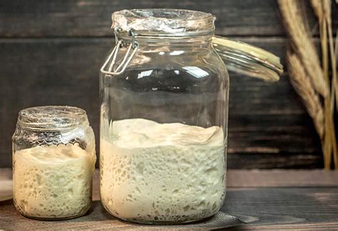 Conservazione del lievito madre