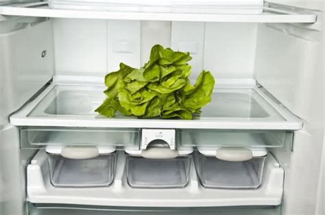 Conservazione insalata nel frigo