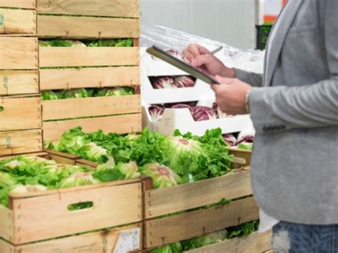 Controllo dell'insalata