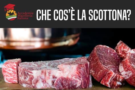 Cos'è la Scottona
