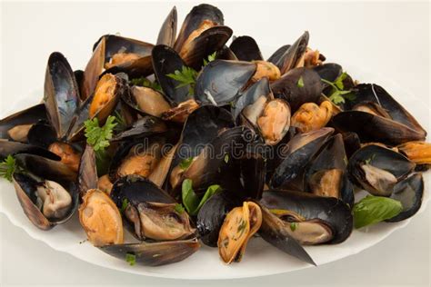 Cozze fresche