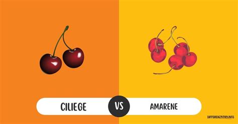 Differenza tra ciliegie e amarene