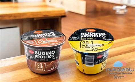 Diversi tipi di budino proteico