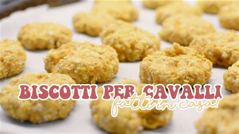 Dolcetti per cavalli fatti in casa