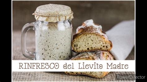 Errori da evitare nel rinfresco del lievito madre