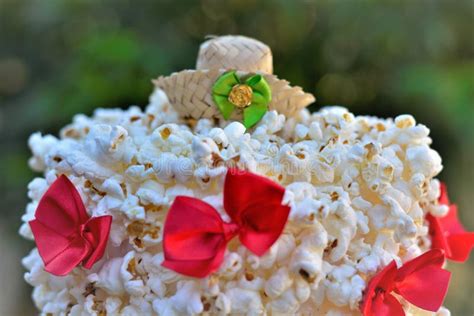 Esempio di Ghirlanda di Popcorn Decorata