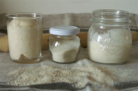 Essiccare il Lievito Madre