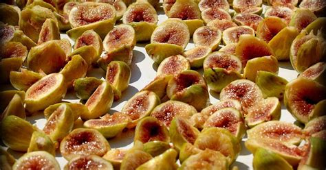 Essiccazione dei Fichi