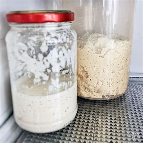 Esubero di lievito madre