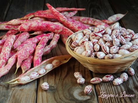 Fagioli borlotti freschi