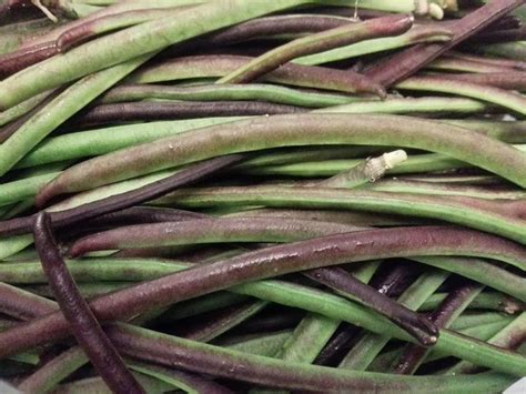 Fagiolino dall'Occhio