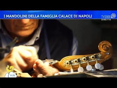 Famiglia di Mandolini