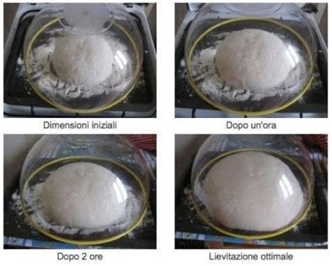Fasi della lievitazione