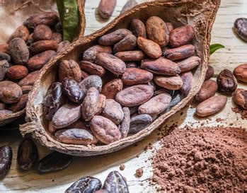 Fave di Cacao Proprietà