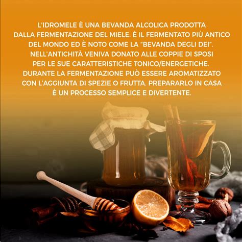 Fermentazione Idromele