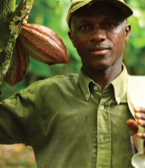 Filiera del cacao Altromercato