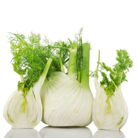 Finocchi freschi