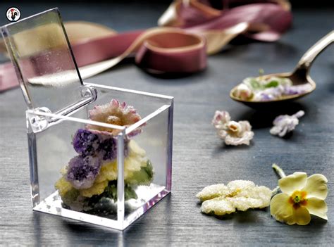 Fiori Cristallizzati