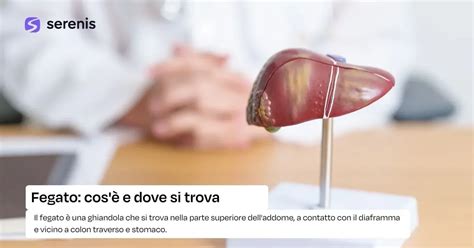 Fritto e Salute del Fegato