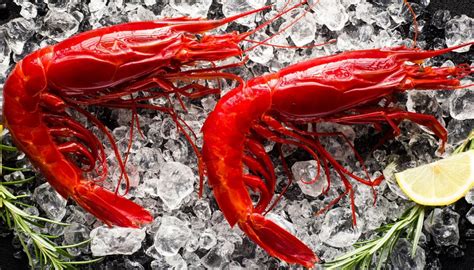 Gambero Rosso di Mazzara del Vallo