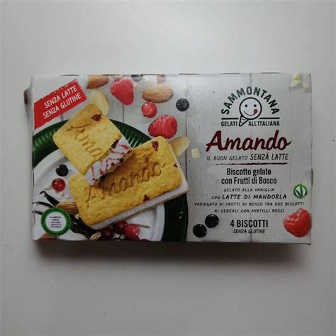 Gelato Biscotto Sammontana
