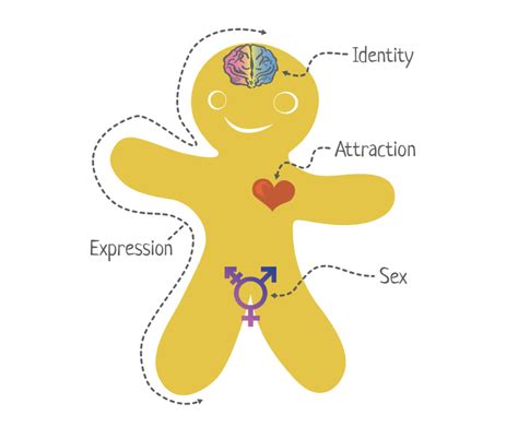 Genderbread Person