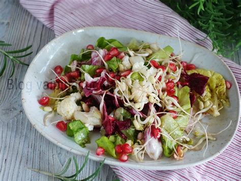 Germogli di insalata