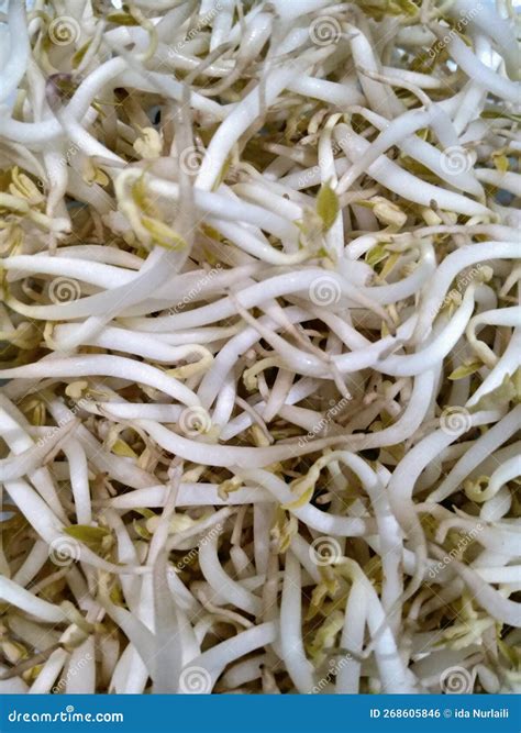 Germogli di soia in un piatto