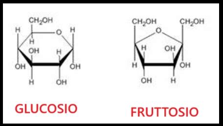 Glucosio e Fruttosio