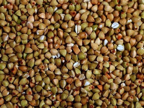 Grano Saraceno Decorticato