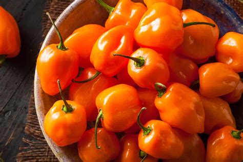 Habanero Orange