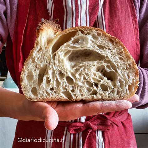 Idratazione Lievito Madre