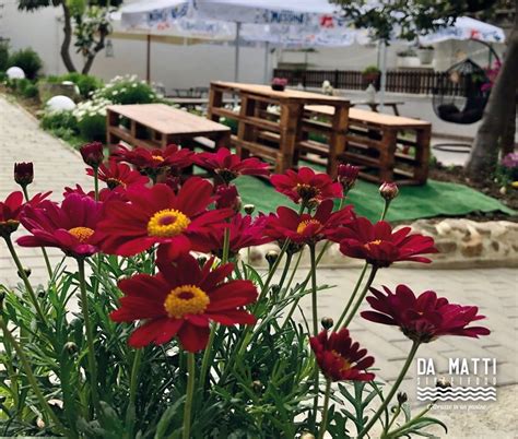 Il Giardino di Da Matti