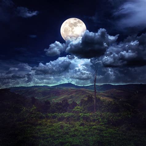 Immagine di un paesaggio notturno