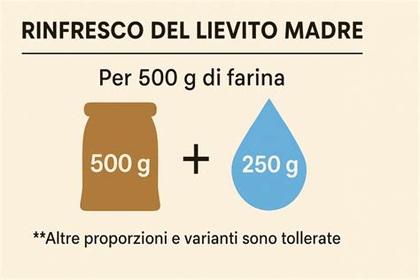 Infografica Lievito Madre