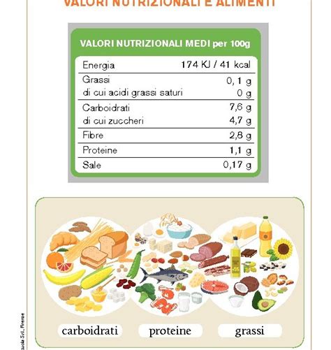 Infografica Valori Nutrizionali Alimenti