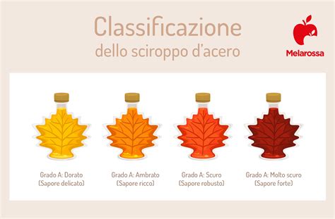 Infografica sulla classificazione dello sciroppo d'acero