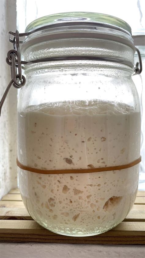 Ingredienti per il lievito madre senza glutine