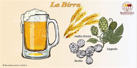 Ingredienti per la birra