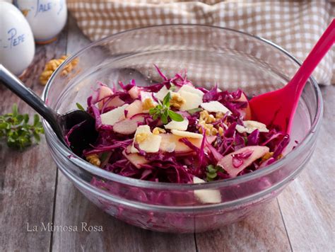 Insalata autunnale con cavolo rosso e mele