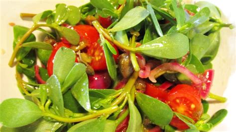 Insalata di Portulaca