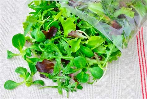 Insalata in busta e pesticidi