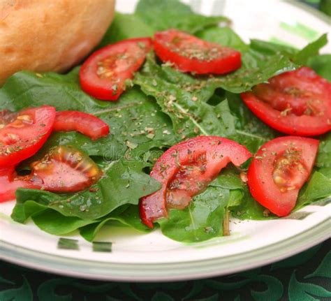 Insalata verde con pomodori