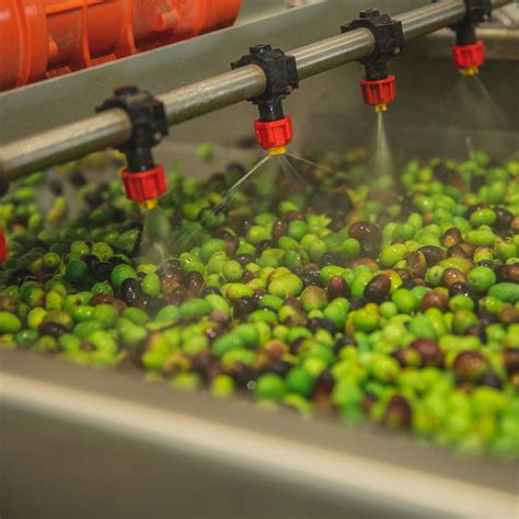 Lavaggio dell'insalata con acqua