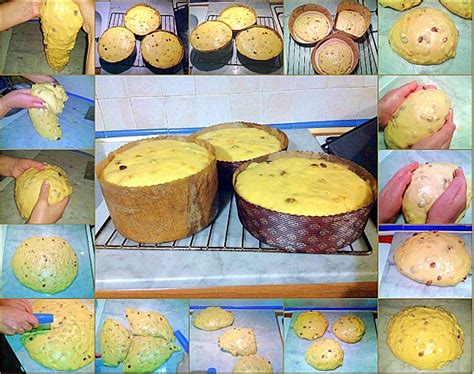 Lievitazione del panettone