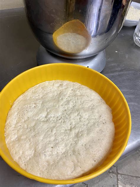 Lievitino in lievitazione