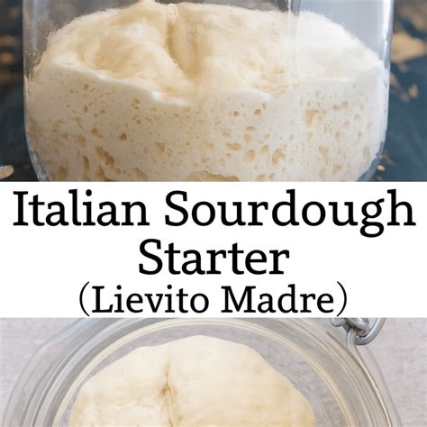 Lievito Madre Congelato