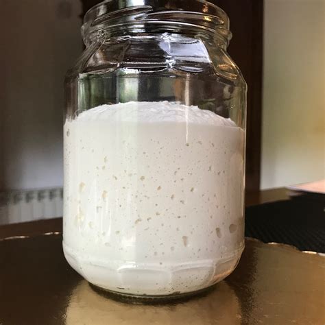 Lievito Madre Pronto