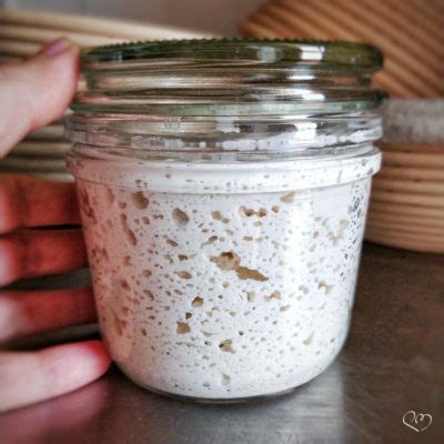 Lievito Madre Senza Glutine